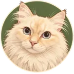 Lumi