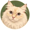 Lumi